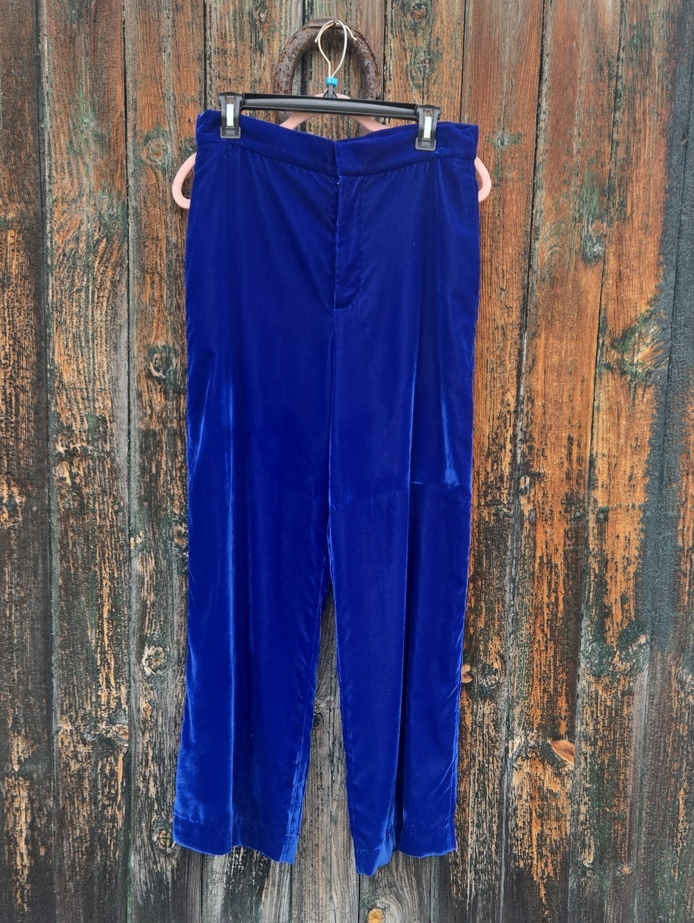 Womens Velvet Zara Pants in Royal Blue NWOT
